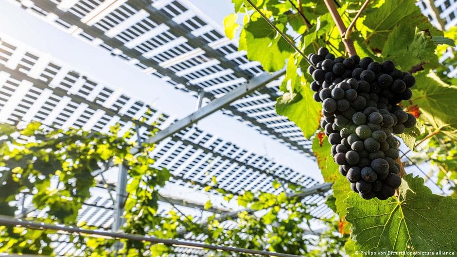 Impact of Extreme Weather on Agriculture in Germany