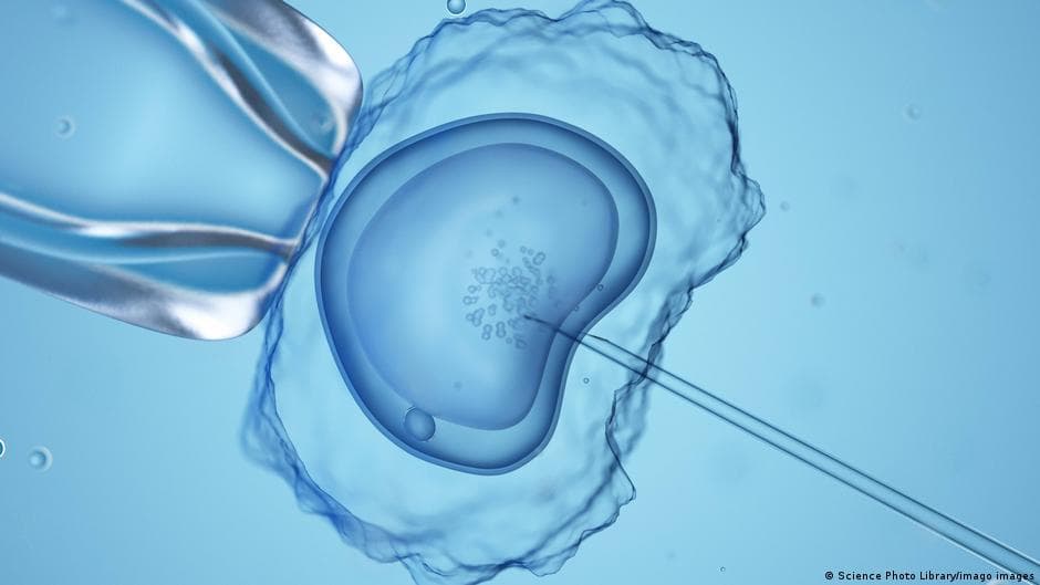 Germany's Reproductive Medicine Laws Criticized for Inequity