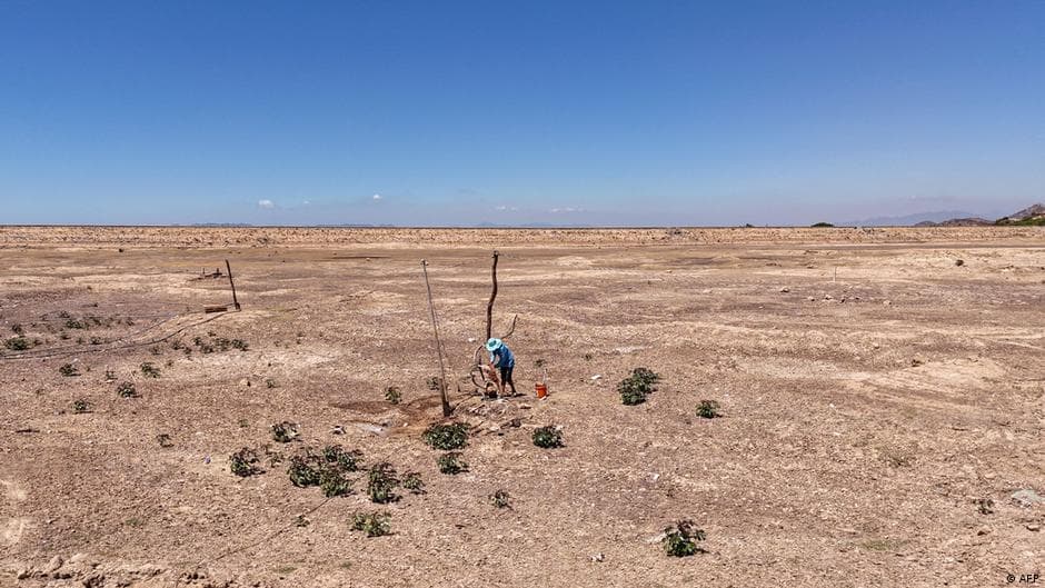 El Niño Impacts Rice and Palm Oil Production in Southeast Asia