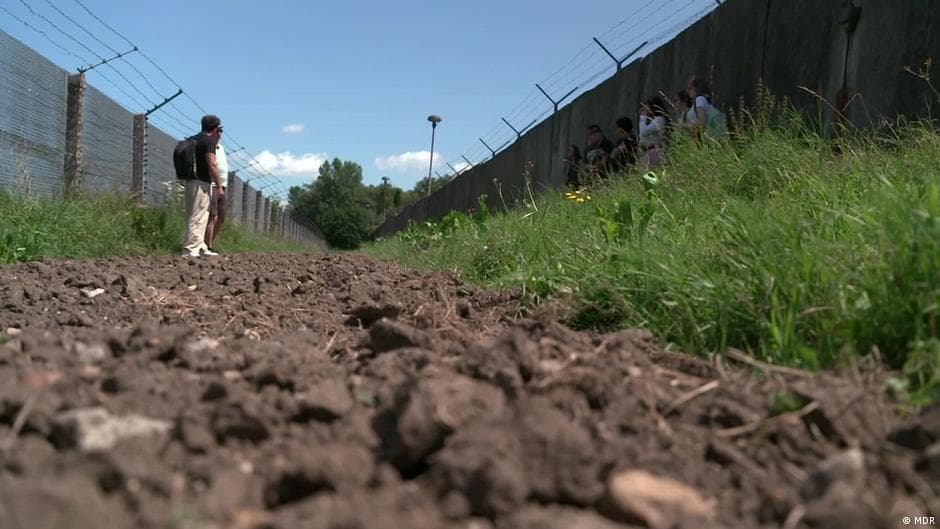 Former East-West Border Transforms into Germany's Biodiversity Haven