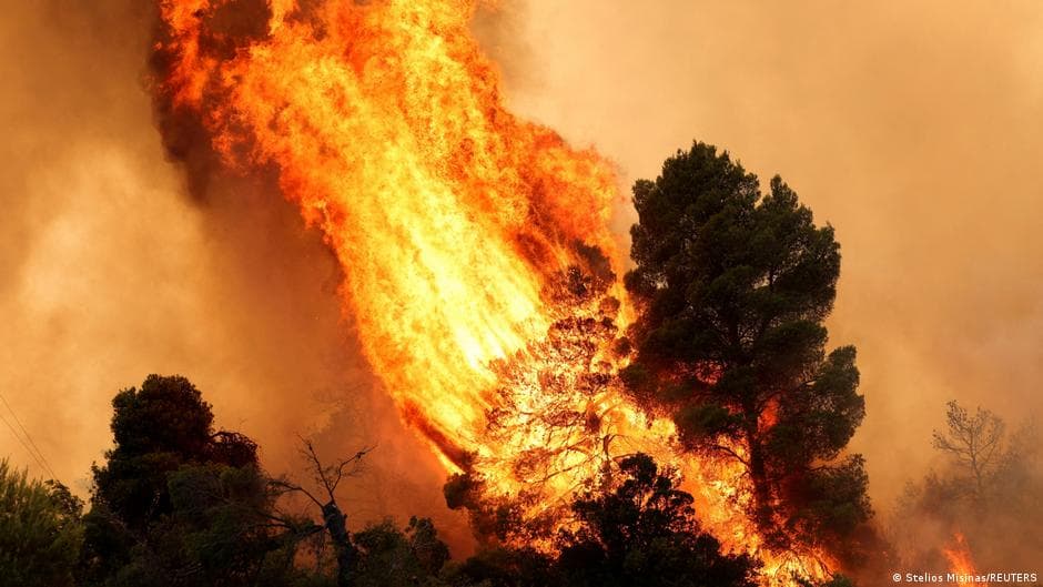 Strategies for Enhancing Wildfire Protection in Europe