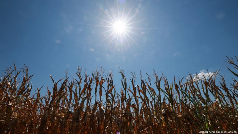 Europe Prepares for Another Wave of Extreme Heat This Summer