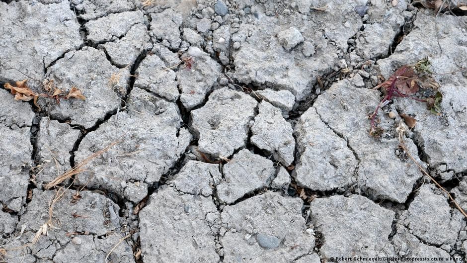 Drought Conditions in Germany and Europe Lead to Rising Costs