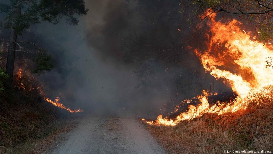 Addressing Trauma Caused by Record-Breaking Wildfires in Germany