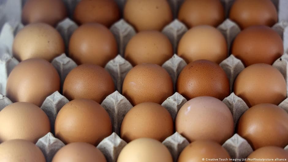 19 Million Eggs Recalled in the US Due to Salmonella Contamination Risk