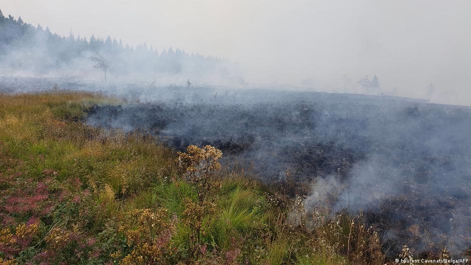 Belgium Evacuates Hundreds as Record Wildfire Rages Near German Border