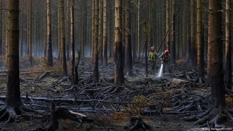 Rain and Cooler Temperatures Aid Firefighting Efforts in Belgium's High Fens