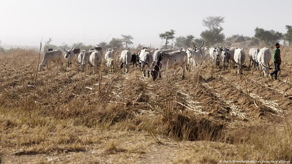 At least 25 killed in armed attack on village in Nigeria's Plateau state