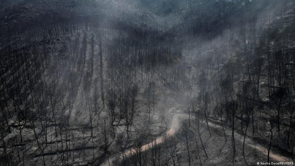Spain Faces Forest Fire Near Valencia Amid Ongoing Flooding Crisis