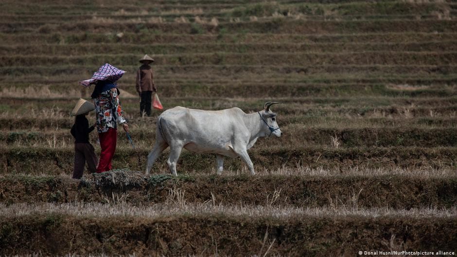 Climate Change and Food Insecurity May Lead to Future Conflicts