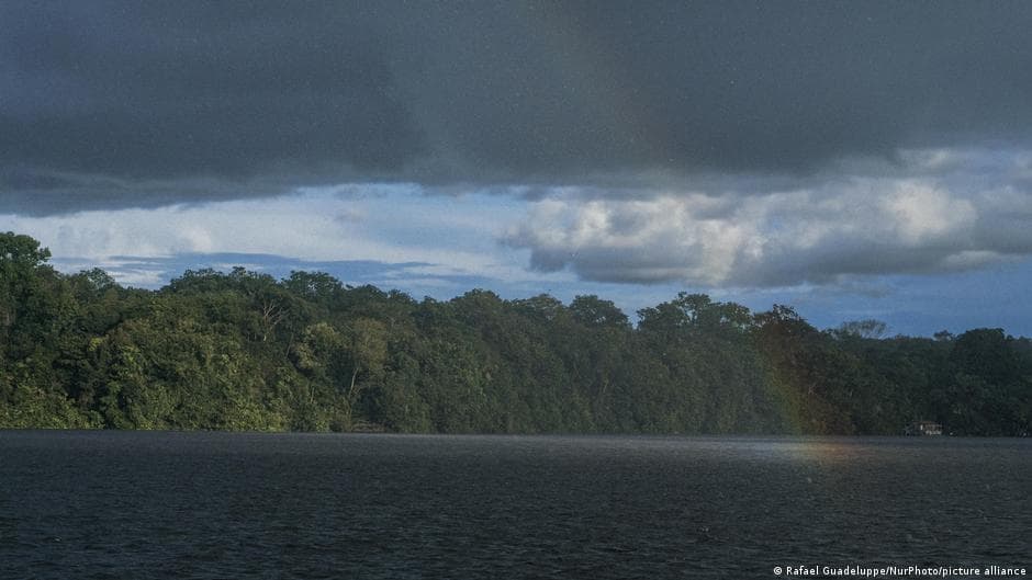 Brazil Reports Lowest Amazon Deforestation Rate in Nearly 40 Years