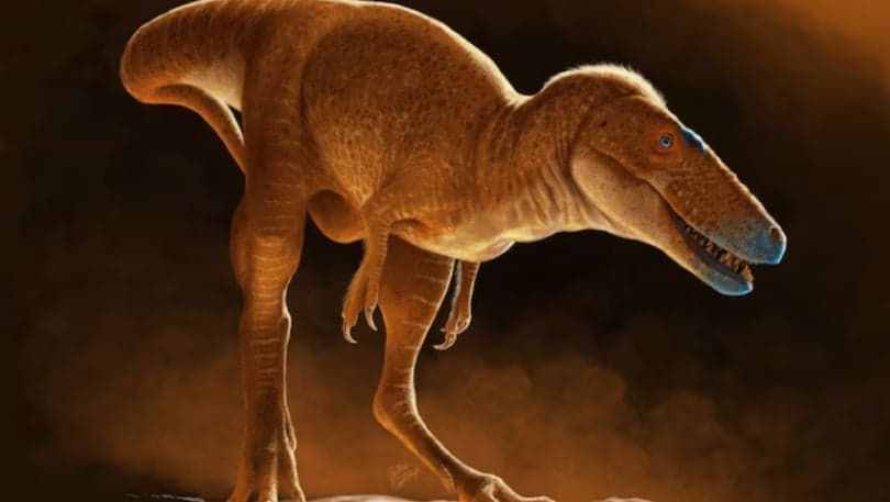 T. Rex'in Kayıp Atası Ejder Prens Bulundu