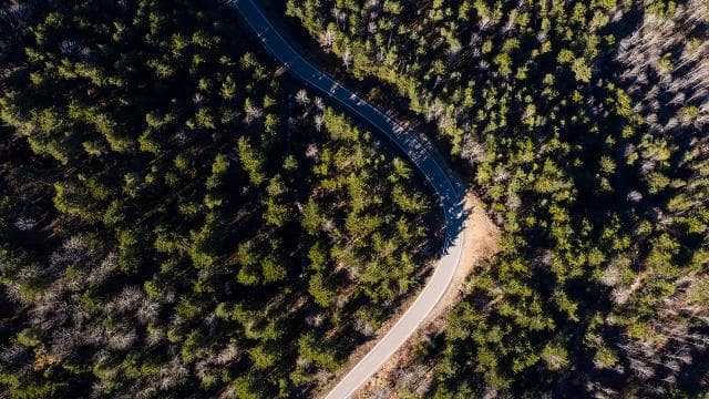 Adana'da ormanlık alanlara girişler 11 Haziran-31 Ekim tarihlerinde yasaklandı