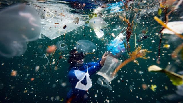 Deniz kirliliğiyle mücadele: 325 bin ton atık temizlendi