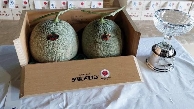 Hokkaido'da yetişen kavun müzayedede 36 bin 500 dolara satıldı