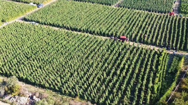 Tarımsal destek ödemesi bugün yapılacak