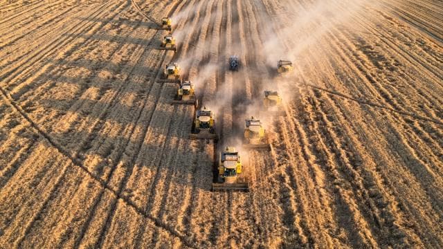 Tarım ÜFE Aralık 2025'te arttı