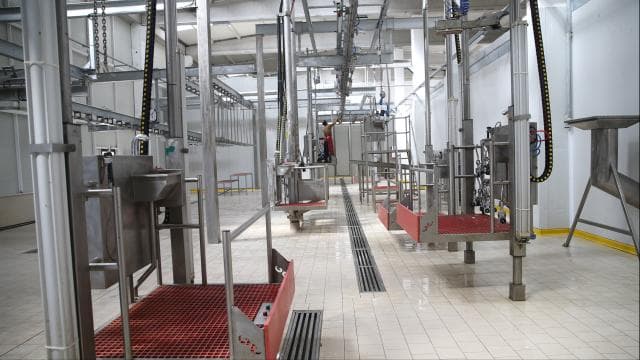 Kesimhanelerde kamera uygulaması 1 Ocak 2027'de başlayacak