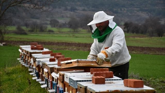 Türkiye, arıcılıkta dünya genelinde ilk üçte yer alıyor