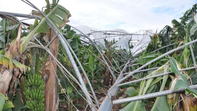 Mersin'de 150 dönüm serayı dolu ve fırtına vurdu