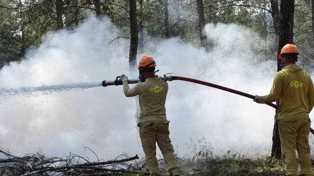 Antalya'da orman yangınlarına karşı 250 kişilik tatbikat