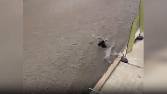 Ankara'da selde kurtarma çalışması yapanlar akıntıya kapıldı
