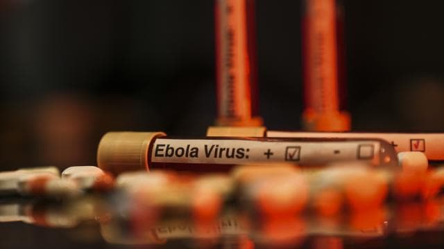 Ebola salgını, Batı'nın yardımlarını kesmesiyle küresel bir tehdit haline gelebilir