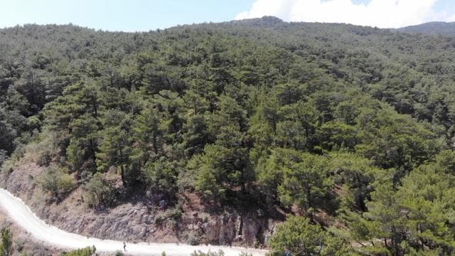 Balıkesir ve Kütahya'da ormanlık alanlara giriş yasaklandı