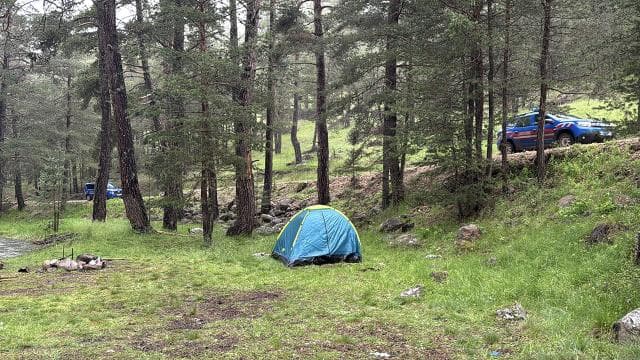 Boluda piknikte yıldırım düşmesi sonucu 3 kişi yaralandı
