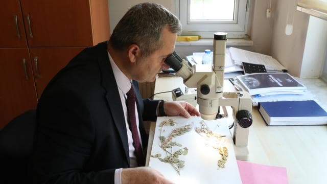 Anadolu'nun bitki zenginliği korunacak
