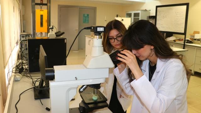 Yumurta kabuğundan implant için biyomalzeme üretildi
