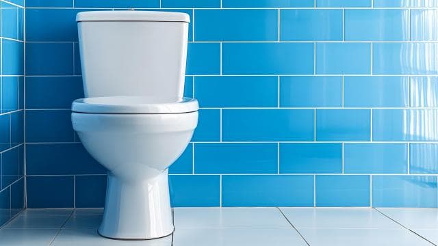 Manavgat'taki evin klozetinde yılan bulundu