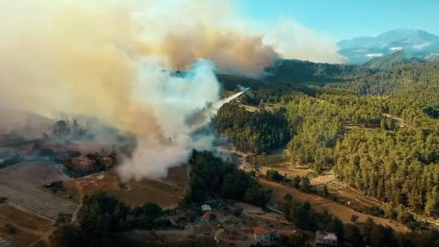 Orman yangınlarıyla mücadelede tam kadro seferberlik