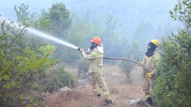 Antalya'da ormanlık alanda yangın başladı