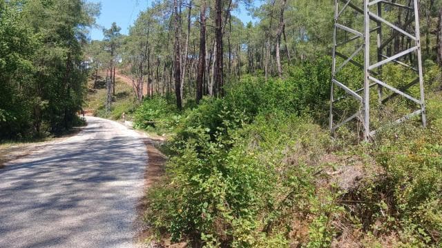 OGM, 16 bin 500 kilometre orman yolunu temizledi