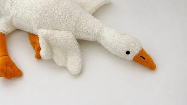 Peluş kaz oyuncağı güvenlik nedeniyle toplatılıyor