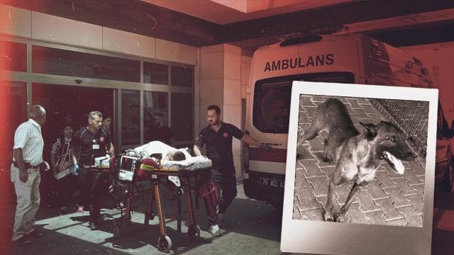 Karaman'da 3 yaşındaki çocuğa saldıran köpeğin sahibi gözaltına alındı