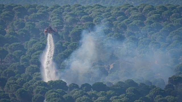 İletişim Başkanlığı orman yangınlarıyla ilgili bilgi verdi