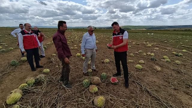 Tekirdağ'da tarım arazilerinde hasar tespit çalışmaları devam ediyor
