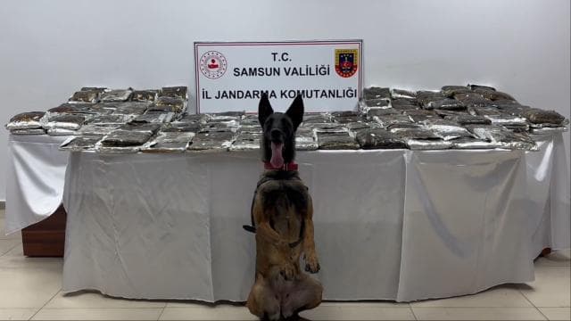 Samsun'da bir tırda 132 kilogram uyuşturucu bulundu