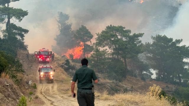 Aydın'daki orman yangınına havadan müdahale devam ediyor