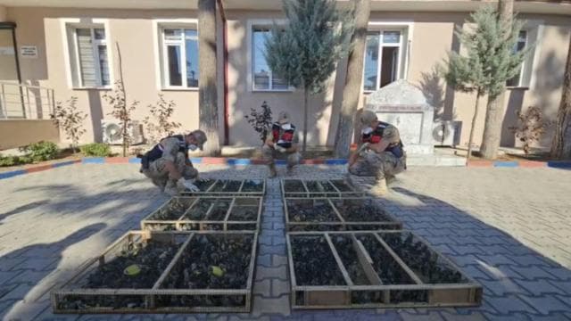 Traktör römorkunda 2 bin 114 saka kuşu bulundu, sürücüye 19,8 milyon lira ceza verildi