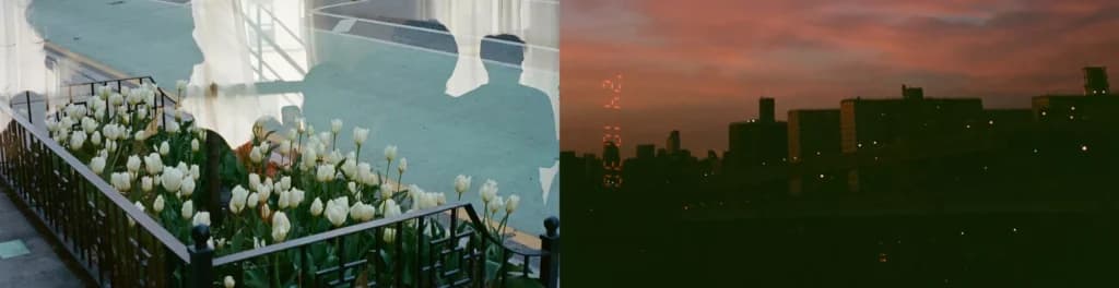 Frieze New York 2026: Küresel Perspektifler ve Şehir Geneline Yayılan Program
