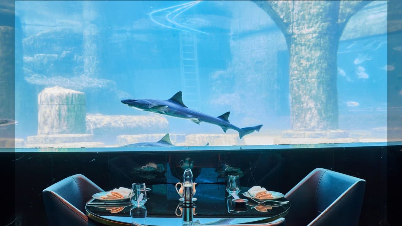 Nemo İstanbul: Boğaz'da Sualtı Temalı Restoran Deneyimi