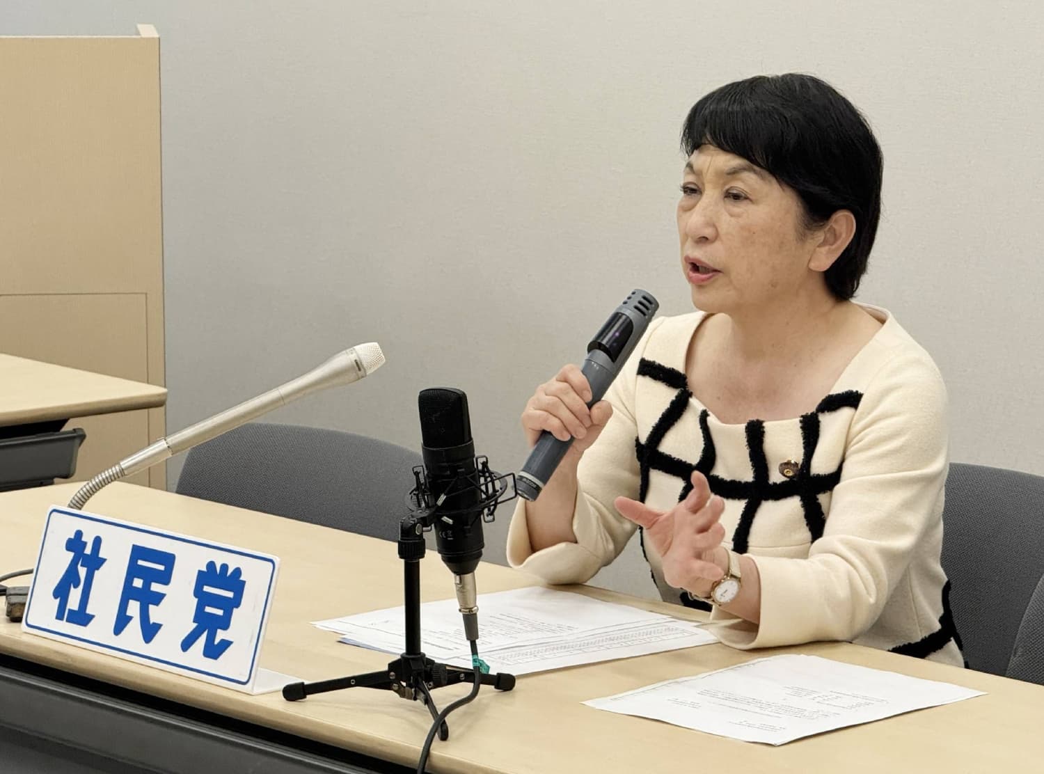 SDP likely to delay leadership race amid talk of snap election