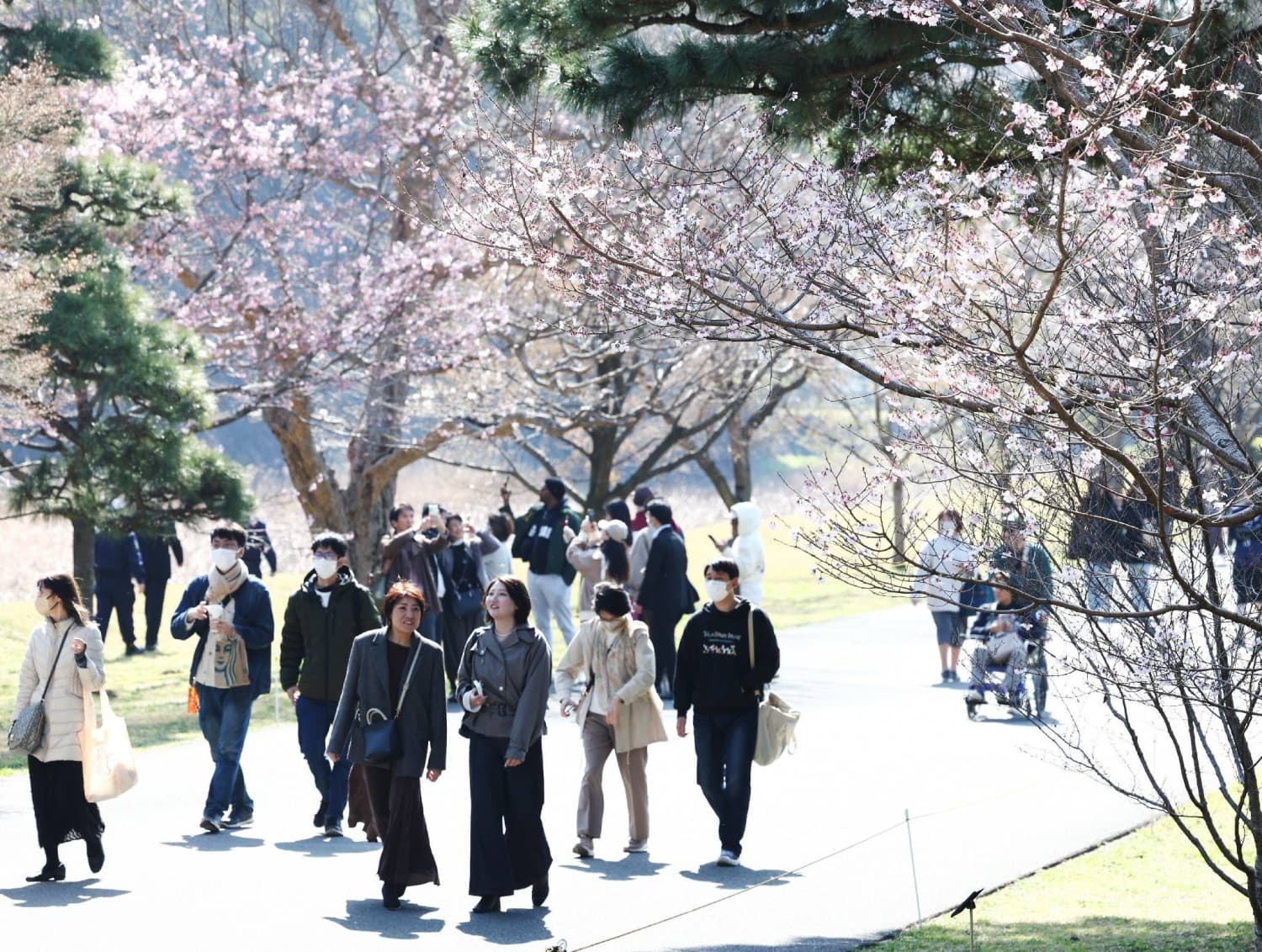 Imperial Palace street opened to public for spring season