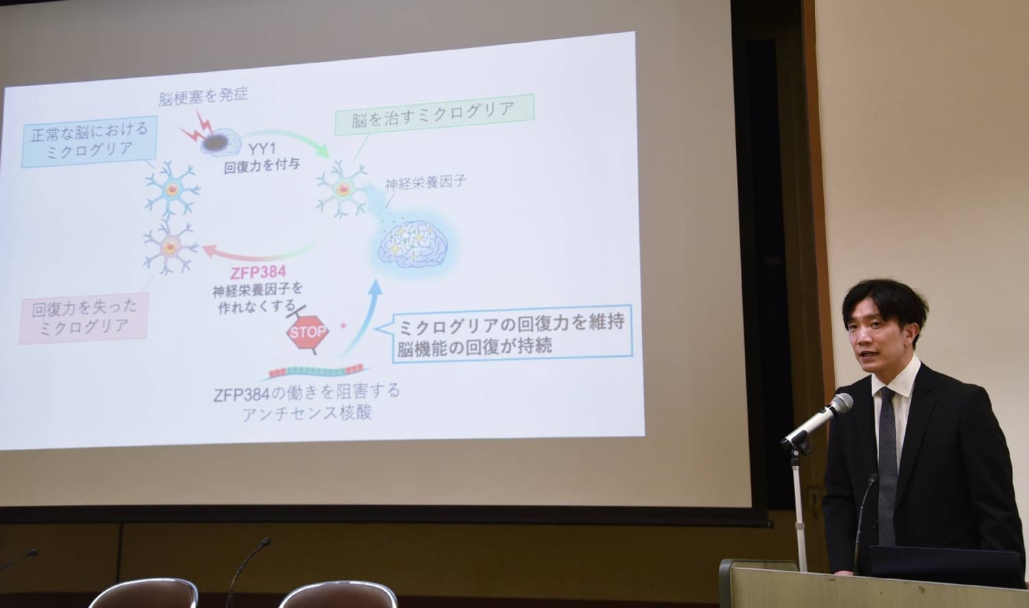 Japanese Researchers Discover Drug Candidate to Enhance Stroke Recovery