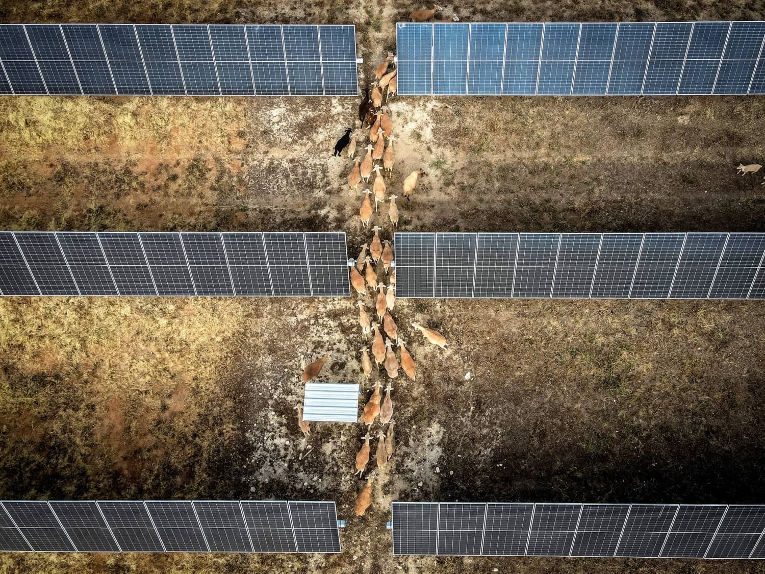 Europe Faces Electricity Waste as Solar Power Output Surges Beyond Grid Capacity