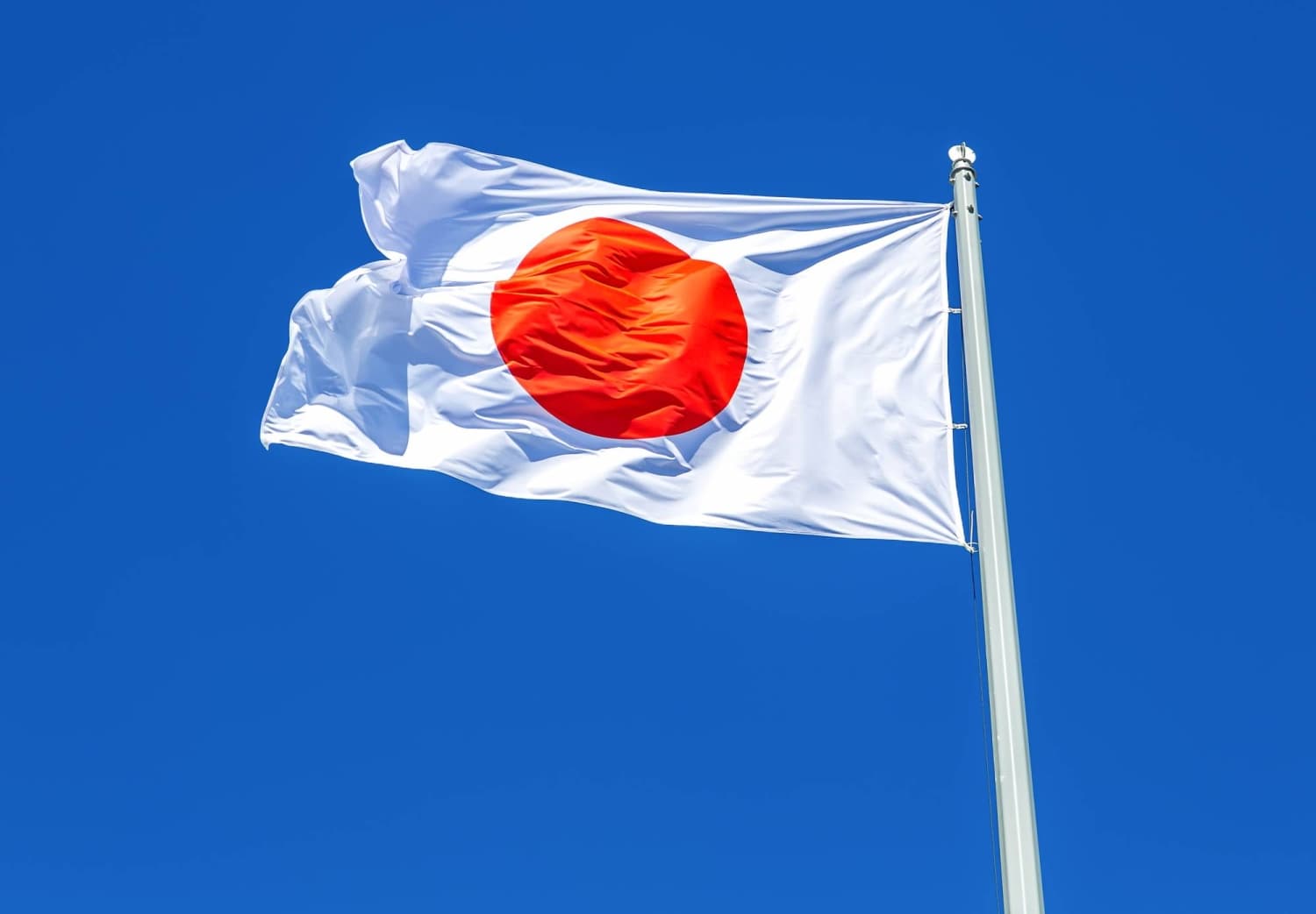 LDP Proposes Penalties for Online Sharing of National Flag Vandalism