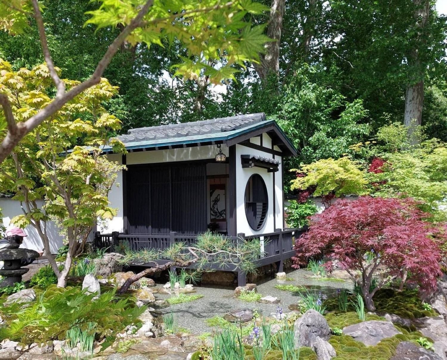 Kazuyuki Ishihara's Japanese garden design earns silver-gilt at British flower show